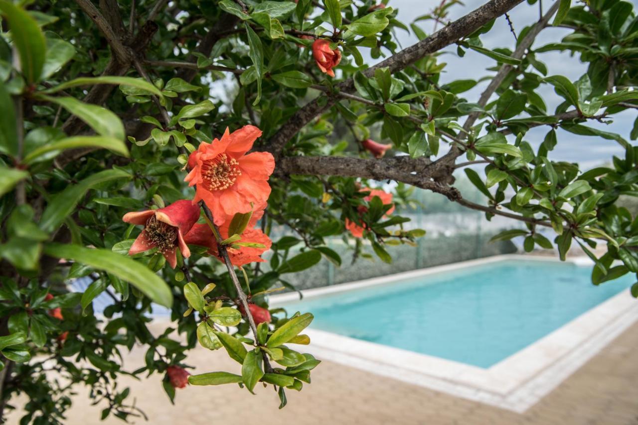 Villa Lara Полиняно а Маре Екстериор снимка